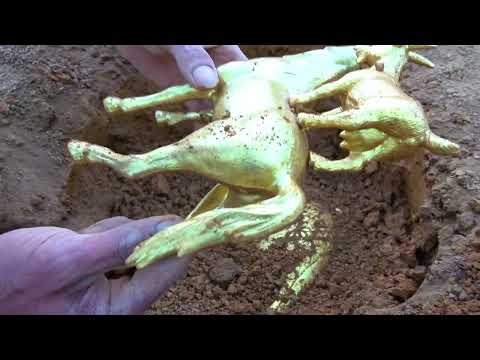 Discovered a huge underground treasure under the old fish