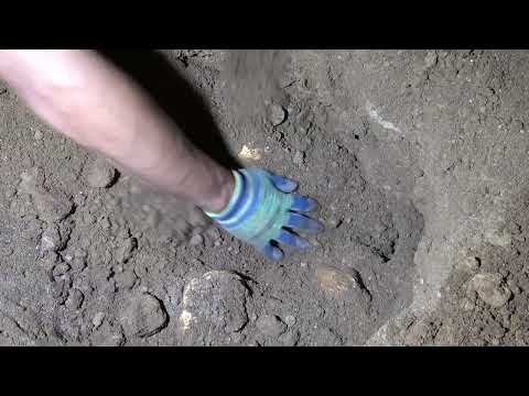 Secrets Below Ground How Metal Detection Changed Our View