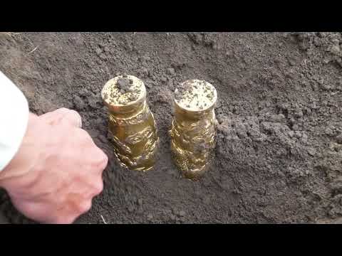 The boy found Wu Zetian s treasure while searching for