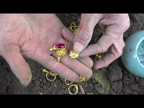 Legend of Wild Treasures Metal Detectors Becoming My Wealth