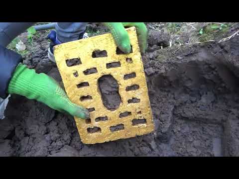 I used the detector to search for treasure and found three