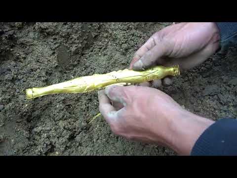 The dog head gold weighing up to 50 kg was dug in the