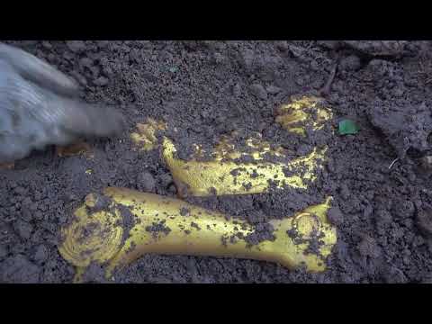 Uncover the world of treasures metal detectors discover