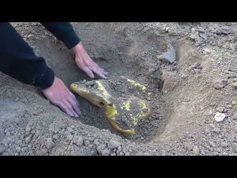Wild Treasure Hunt Metal Detector Takes You to Discover