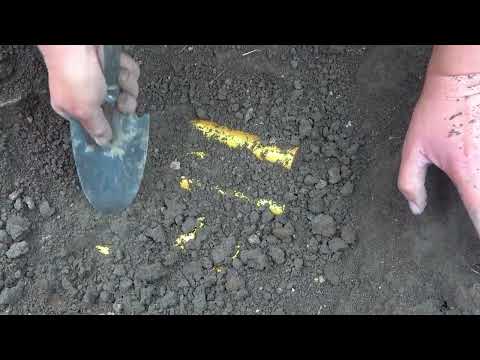 Adventure Wonders Metal Detector Takes Me to Experience the