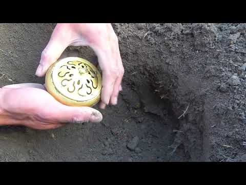 Treasure exploration enthusiast Metal detectors ignite my