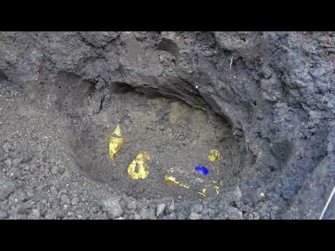 Hidden Treasures And Discoveries the World Was Never