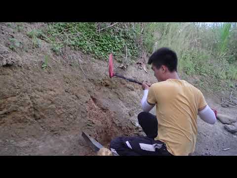 Found YouTubers Lost 24k Gold Apple Watch While Scuba
