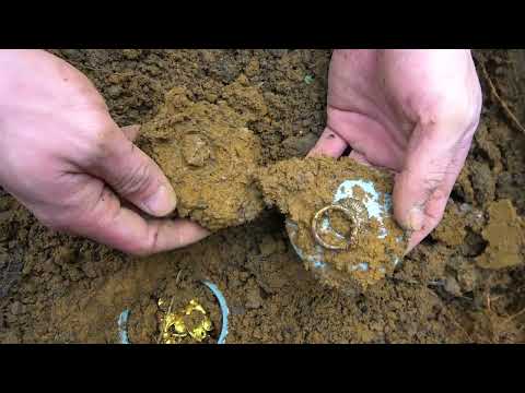 Searching for the Dream of Gold Metal Detector Takes You