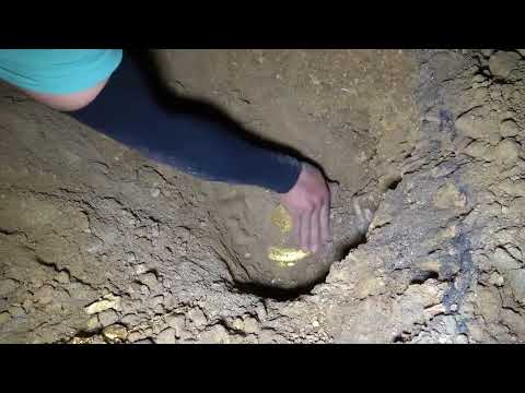 Unexpectedly discovered hidden collectibles of gold miners