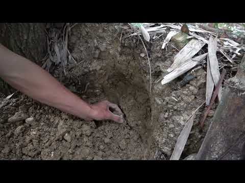 Uncovering the Mystery of Gold Hunters Treasures A