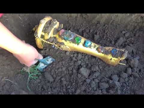 Found a jar full of gold and jewels under the amazing