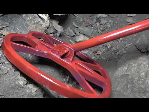 Searching for legendary treasures of gold miners surprises