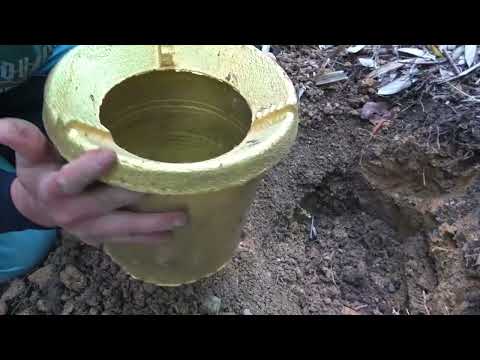 Searching for timeless treasures Wilderness exploration
