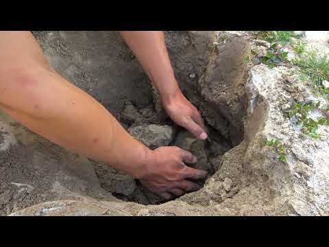 The metal detector a treasure hunting tool rewrote my fate