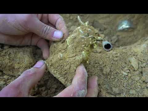The boy searched for treasure in the wild and found super