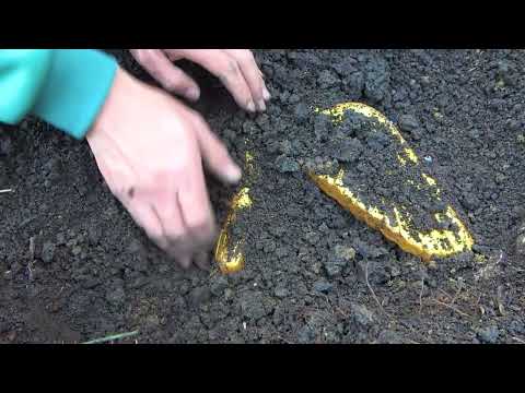 A fantastic journey of exploring treasures in the
