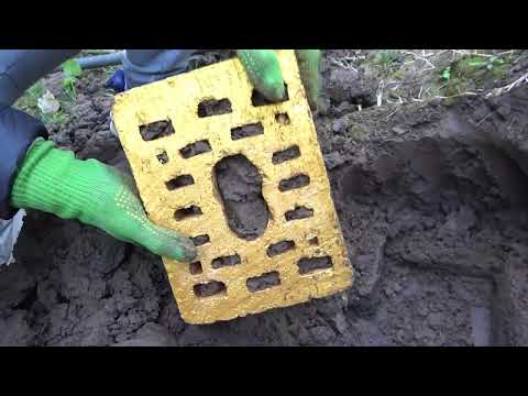Wild Treasure Exploration Adventure Metal Detectors Reveal