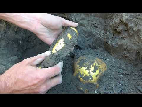 Treasure Mystery Recreating Legendary Wealth in Wilderness