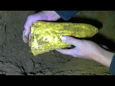 The golden python and diamond golden skull were found