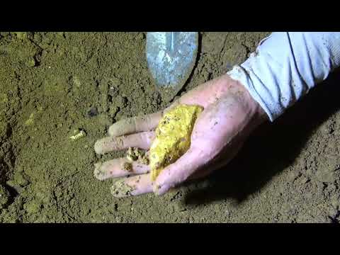 How Avocado Oil Is Made Full Factory Process