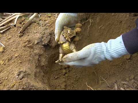 A large treasure buried millions of years underground was