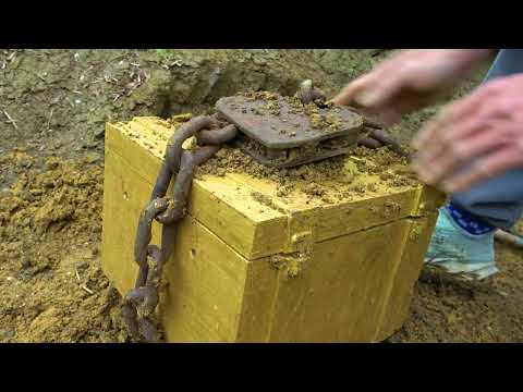 Embark on the treasure hunting journey of gold miners and