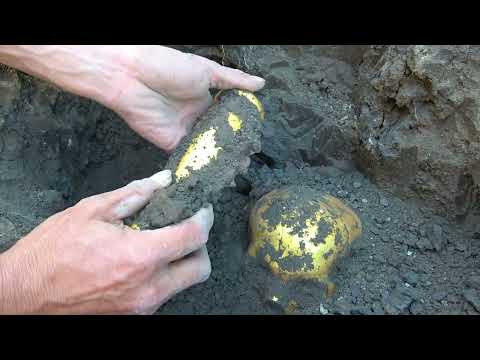 Discovering an astonishing treasure in the dry ditch I was