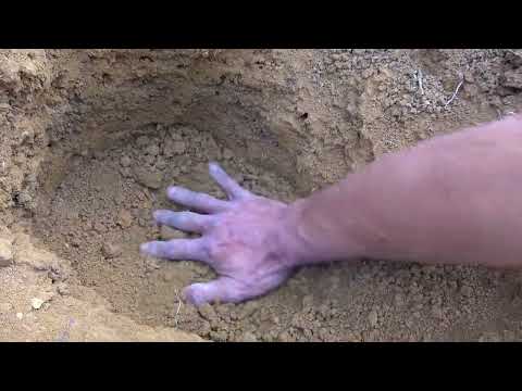 The mysterious treasure of gold miners an exciting