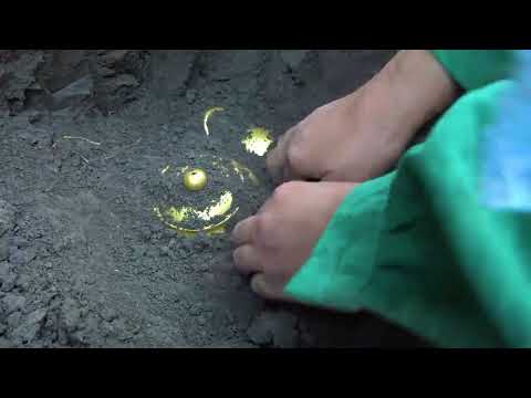A man was hunting for treasure in the wild and accidentally