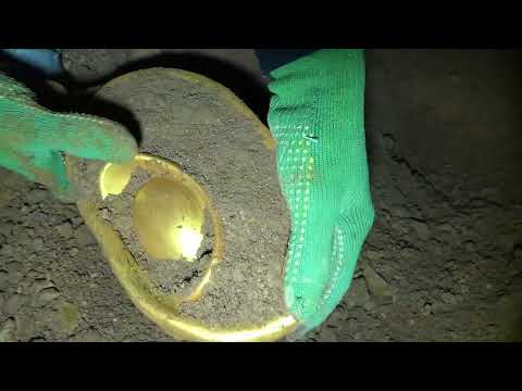 Exploring the Lost Treasure Collaborative Action of Gold
