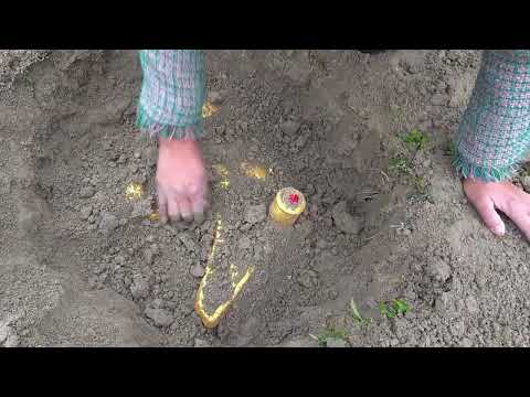 Exploring New Trends Metal Detector Takes Me on a