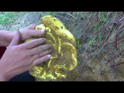 Wild Treasure Hunt Victory Journey Metal Detector is My