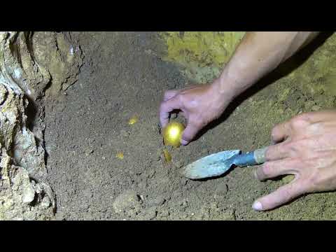 I m looking for treasure in the cave digging out treasure