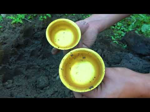 Searching for the mysterious treasure location of gold