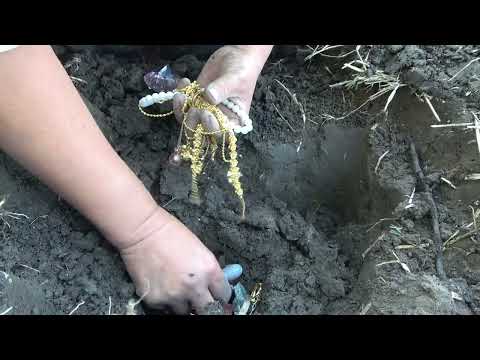 Unexpectedly there is a treasure hidden in the earth pit