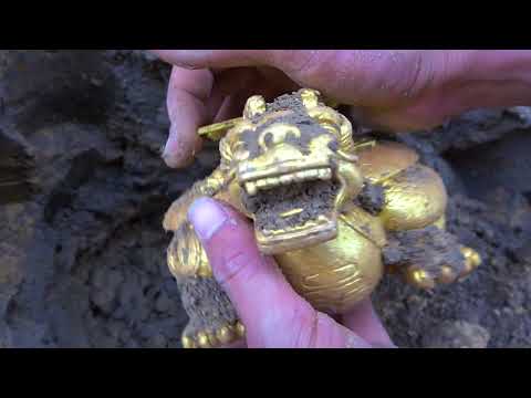 Explorer s Dream Exploring Treasures and Searching for