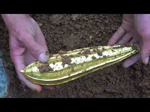 Found Sunken Drug Plane in the Ocean Explored for Treasure