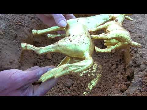 Unbelievable Gold Discovery Giant Nuggets Found Inside Rock
