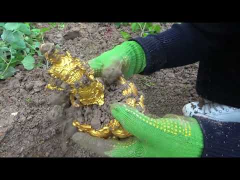 The wealth metal detector of ancient ruins unlocks the