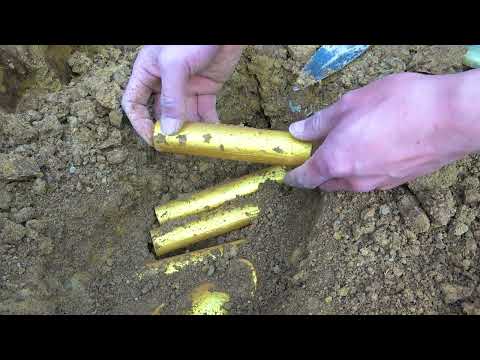 Discovered a huge underground treasure under the old fish