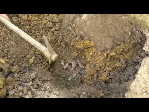 Tracking the footsteps of gold miners in the wilderness