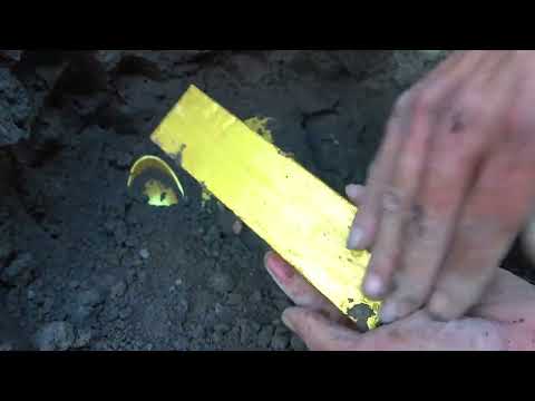 I found a huge golden turtle that had been buried in a cave