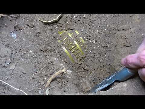 Discovered a great treasure under the dry fish pond made a