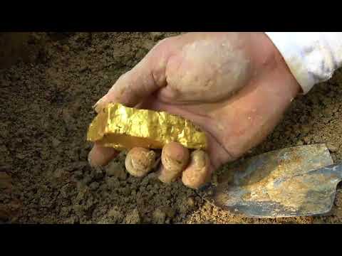 Discovering treasures the journey of searching for