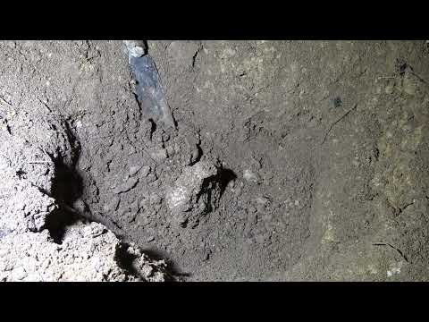 The Secret Treasure of Ancient Civilization Reveals Metal