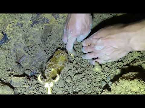 Unexpected treasure secrets searching for the mysteries of