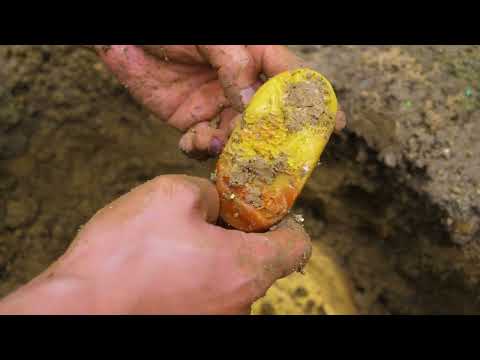 The boy was lucky to find two golden Buddha under the stone