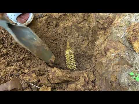 I Found 4 Apple Watches 5 Phones and a GoPro Underwater in