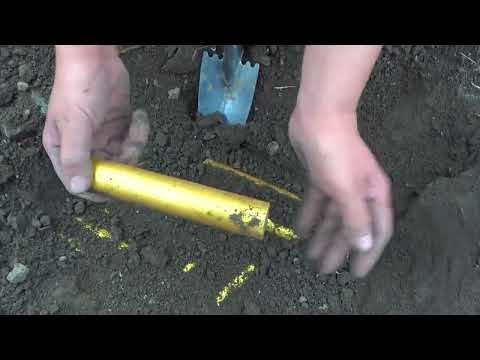 The boy searched for treasure in the wild and found super